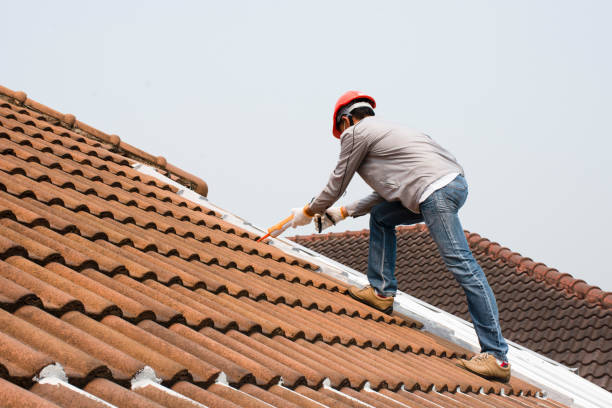 Best Skylight Installation and Repair  in Wahese, NC