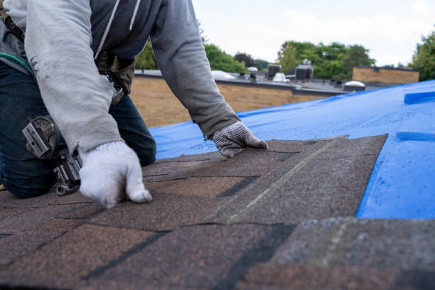 Best Gutter Installation and Repair  in Wahese, NC