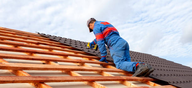 Best Roof Moss and Algae Removal  in Wahese, NC